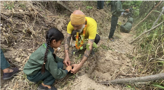 Tree planting